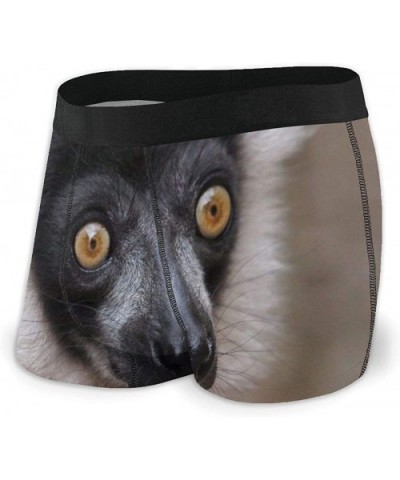 Mens Boxer Briefs Underwear Unique Chamomile Flower Comfy Breathable Underpants for Men Youth Boys - Cute White Lemur - CL190...