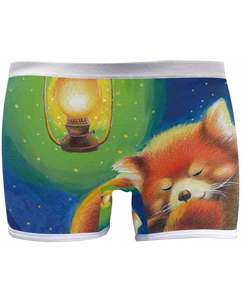 Women's Seamless Boyshort Panties Octopus Art Painting Underwear Stretch Boxer Briefs - Sleeping Red Panda - CJ18T3RNZ9R $30....