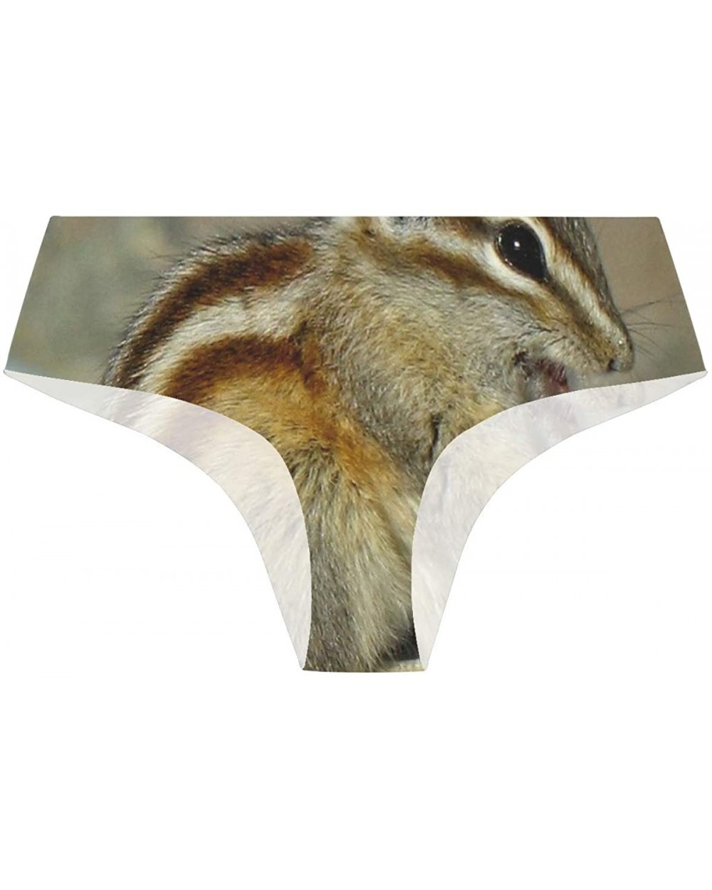 Women's Seamless Underwear- Giraffe Skin Printed Sexy Ladies Bikini Panties Low Rise Brief - Cute Chipmunk - C418A6A2Q33 $20....