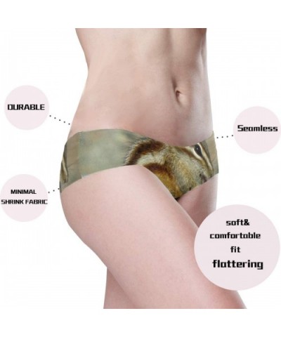 Women's Seamless Underwear- Giraffe Skin Printed Sexy Ladies Bikini Panties Low Rise Brief - Cute Chipmunk - C418A6A2Q33 $20....