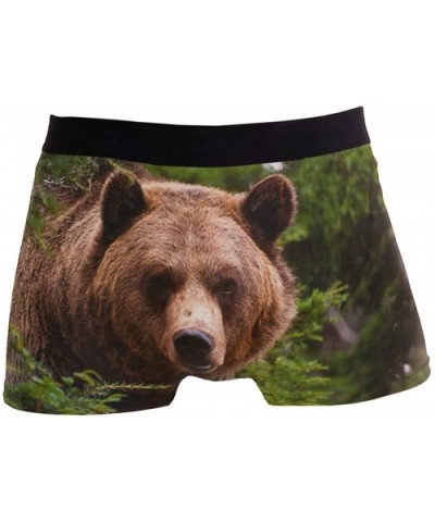 Mens No Ride-up Underwear Smiling Guinea Pig Boxer Briefs - Russian Bear Dog - CY18Y67XHEI $26.31 Boxer Briefs