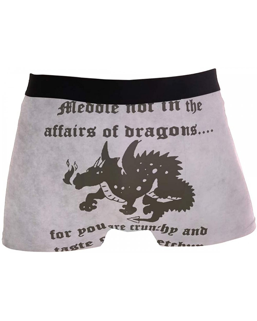 Mens No Ride-up Underwear Pit Bull Dog Boxer Briefs - Dragons - C518Y23HRIK $26.58 Boxer Briefs