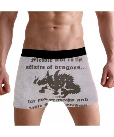 Mens No Ride-up Underwear Pit Bull Dog Boxer Briefs - Dragons - C518Y23HRIK $26.58 Boxer Briefs