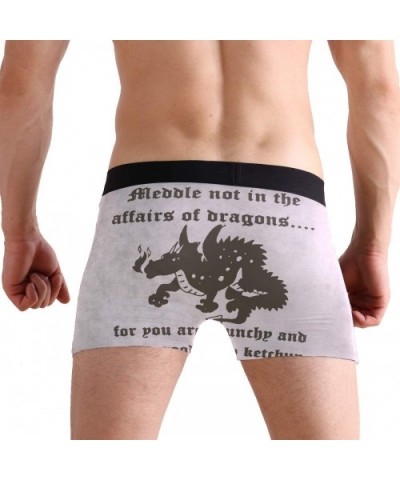 Mens No Ride-up Underwear Pit Bull Dog Boxer Briefs - Dragons - C518Y23HRIK $26.58 Boxer Briefs