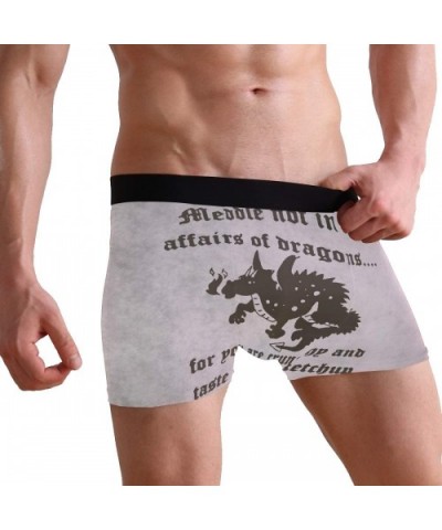 Mens No Ride-up Underwear Pit Bull Dog Boxer Briefs - Dragons - C518Y23HRIK $26.58 Boxer Briefs