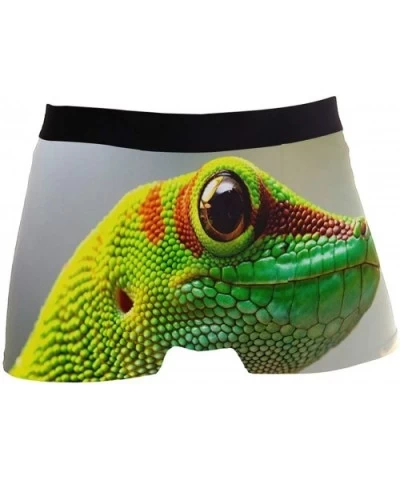 Mens No Ride-up Underwear Lobster Crab Fish Boxer Briefs - Gecko Chameleon Reptile - CA18Y42SR9I $24.80 Boxer Briefs