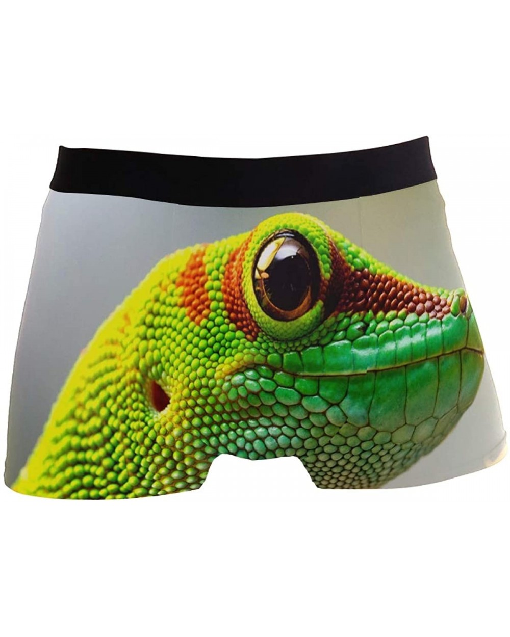 Mens No Ride-up Underwear Lobster Crab Fish Boxer Briefs - Gecko Chameleon Reptile - CA18Y42SR9I $24.80 Boxer Briefs