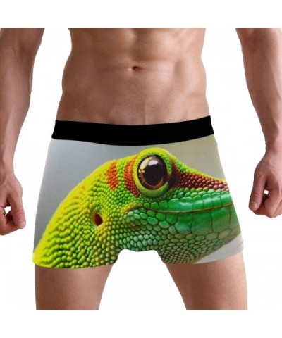 Mens No Ride-up Underwear Lobster Crab Fish Boxer Briefs - Gecko Chameleon Reptile - CA18Y42SR9I $24.80 Boxer Briefs