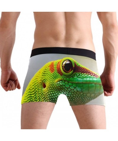 Mens No Ride-up Underwear Lobster Crab Fish Boxer Briefs - Gecko Chameleon Reptile - CA18Y42SR9I $24.80 Boxer Briefs