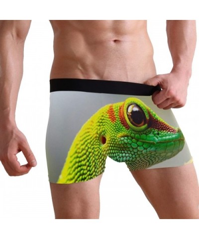 Mens No Ride-up Underwear Lobster Crab Fish Boxer Briefs - Gecko Chameleon Reptile - CA18Y42SR9I $24.80 Boxer Briefs