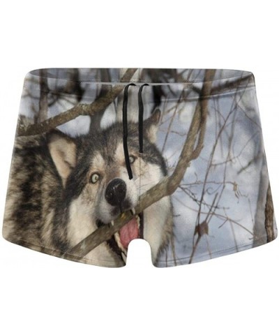 Cool Men's Boxer Shorts Printed Surf Boxer Shorts Pants Soft and Comfortable Quick Dry - Black - C419DYX0MRO $40.73 Boxers