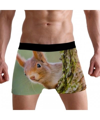 Men's Boxer Briefs Cute Animal Squirrel Tree Soft Short Underpants Underwear for Men Boys - CI18LS5RQ2G $27.88 Boxer Briefs