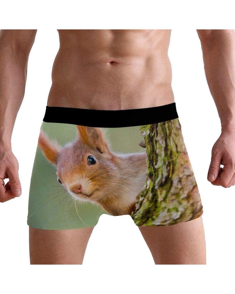 Men's Boxer Briefs Cute Animal Squirrel Tree Soft Short Underpants Underwear for Men Boys - CI18LS5RQ2G $27.88 Boxer Briefs