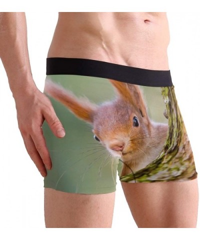 Men's Boxer Briefs Cute Animal Squirrel Tree Soft Short Underpants Underwear for Men Boys - CI18LS5RQ2G $27.88 Boxer Briefs