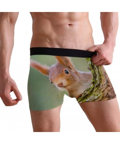 Men's Boxer Briefs Cute Animal Squirrel Tree Soft Short Underpants Underwear for Men Boys - CI18LS5RQ2G $27.88 Boxer Briefs