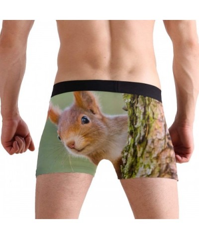 Men's Boxer Briefs Cute Animal Squirrel Tree Soft Short Underpants Underwear for Men Boys - CI18LS5RQ2G $27.88 Boxer Briefs